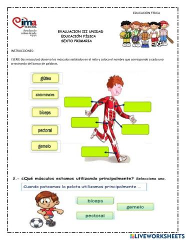 Evaluación educación física