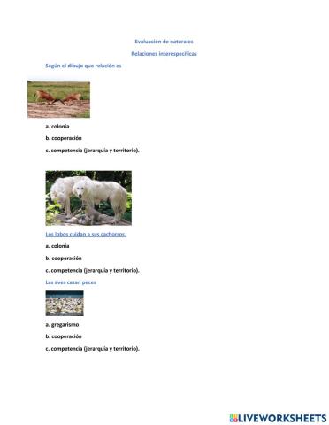 Evaluacion intrapersonal