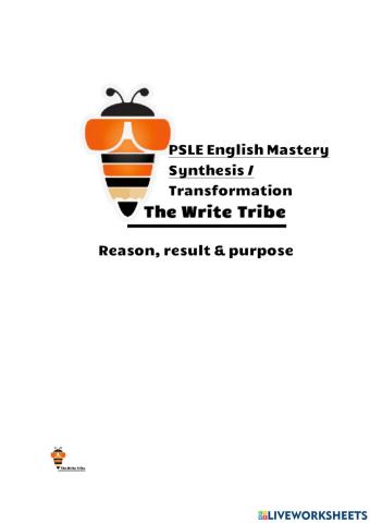 2021 Week 23 Synthesis + Transformation p5-6 PART 2