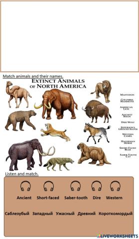 Extinct Animals