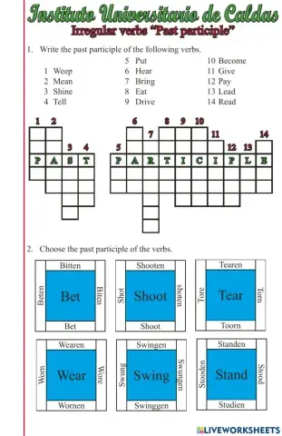 Past participle Irregular verbs