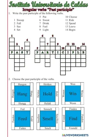 Past participle Irregular verbs