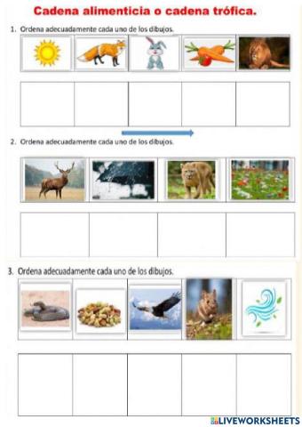 Cadena Trofica