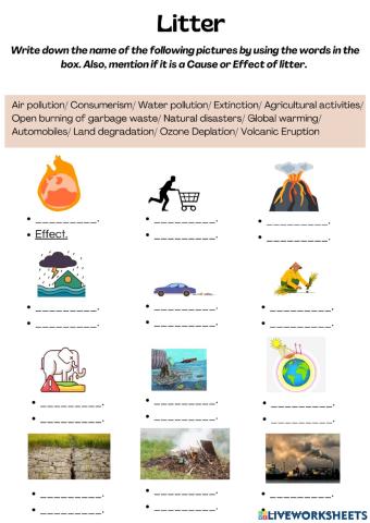 Litter