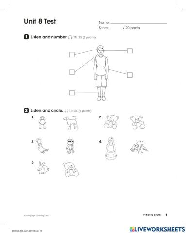 Newbie - Mini test 8