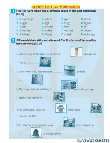G7-review 1 unit 123 wb