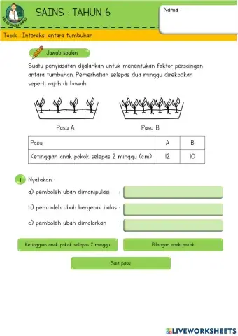 Persaingan antara tumbuhan
