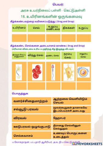 18.உயிரினங்களின் ஒருங்கமைவு