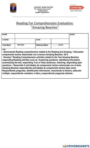 Reading For Comprehension Evaluation: Amazing Beaches Year 8