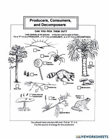 Producers Consumers Decomposers