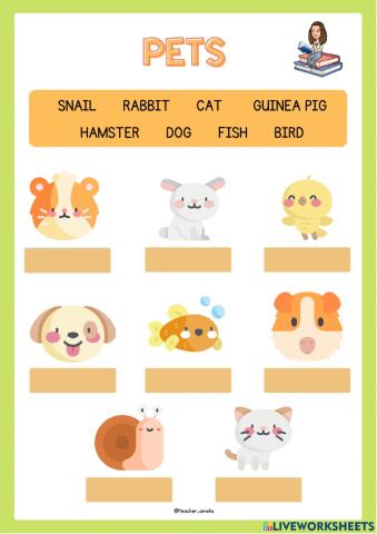 1º unit 3: pets