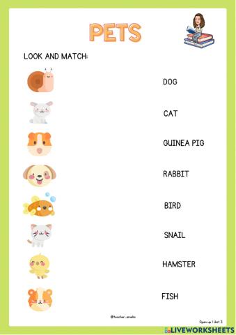 1º unit 3: pets