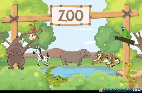 Zoo animals