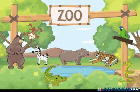 Zoo animals