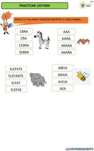 Actividad lectura animales