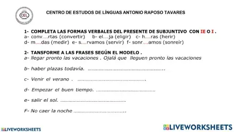 evaluación 4 estadio