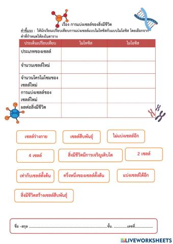 การแบ่งเซลล์