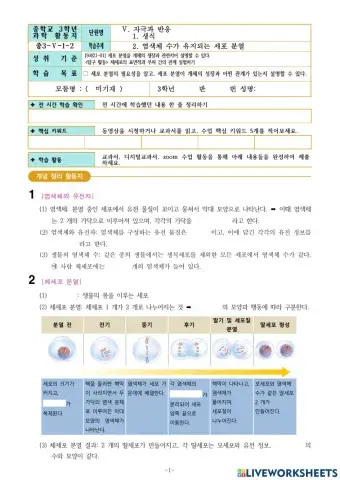 중3-Ⅴ-1-2. 염색체 수가 유지되는 세포 분열