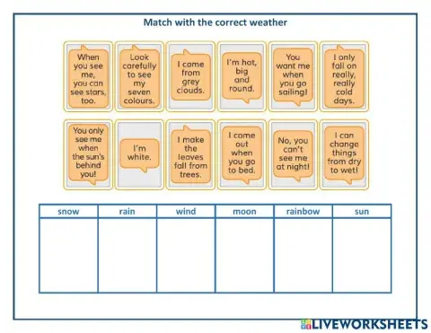 Lions: Match - Weather