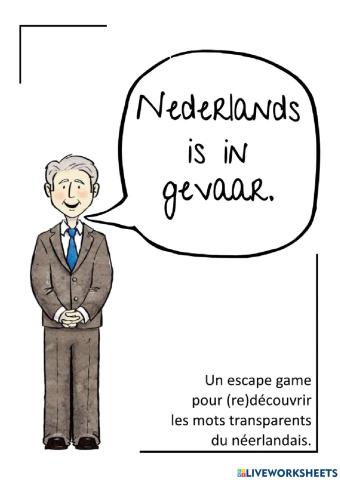 Nederlands is in gevaar