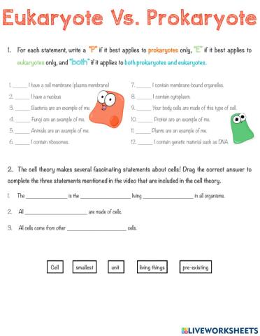 Prokaryote Vs. Eukaryote