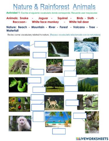 Nature and Animals Practice