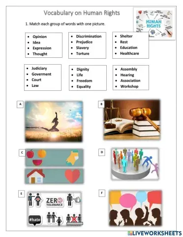 Human Rights - Vocabulary