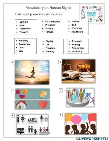 Human Rights - Vocabulary