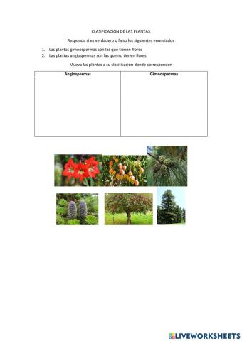 Clasificacion de animales y plantas