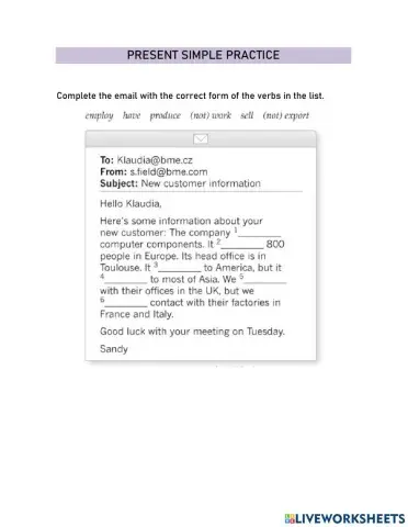 Present Simple Practice