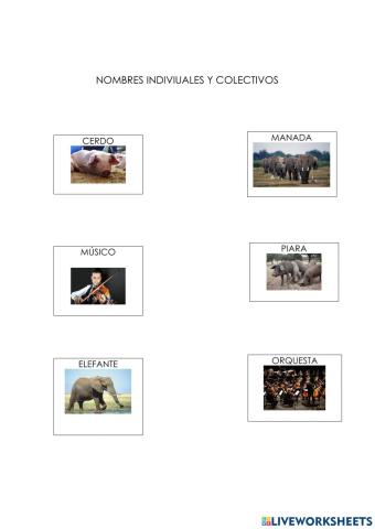 Individuales y colectivos