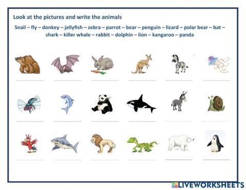 Lions: Animals, Animals