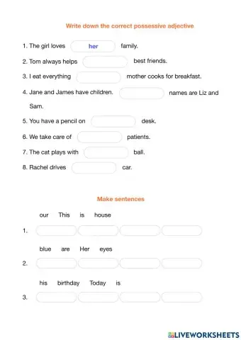 Possessive adjective