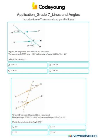 Introduction to Transversal and parallel Lines Application
