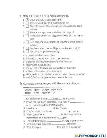 Job and work-related vocabulary