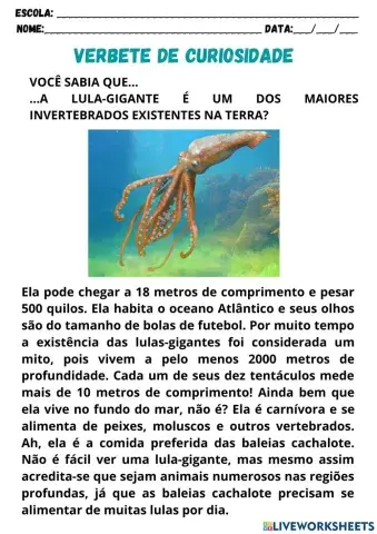Verbete de curiosidade - lula-gigante