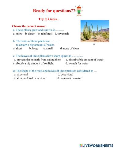 Cactus