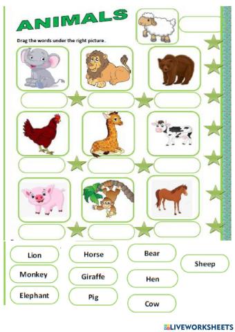 Animals:drag and drop