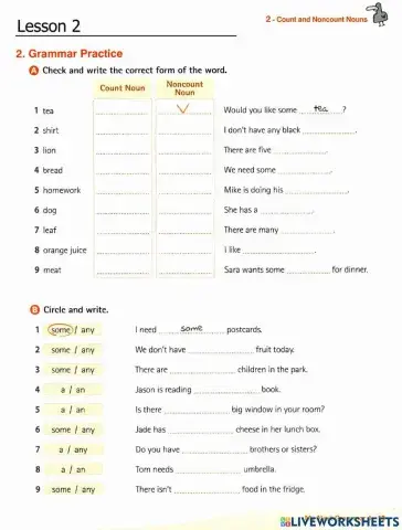 Count and noncount nouns