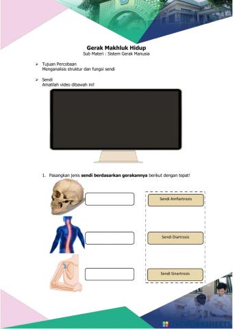 Sistem Gerak Manusia