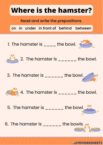 Where is the hamster?