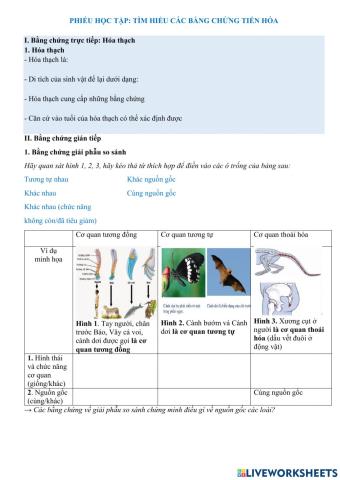 Bài 1. Các bằng chứng tiến hóa