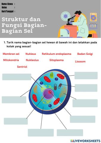 Struktur dan Fungsi Bagian-Bagian Tumbuhan