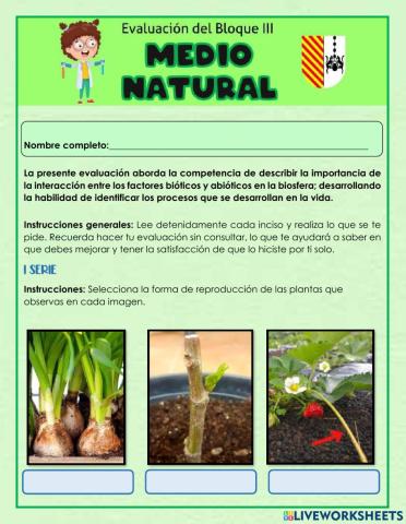 Evaluación Bloque III Medio Natural