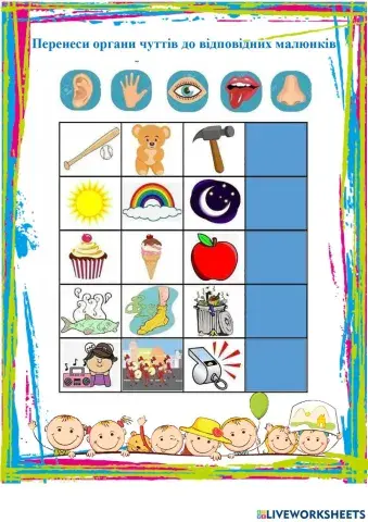 Органи чуттів 3