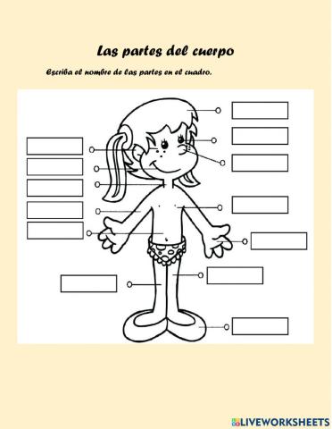 Partes del Cuerpo