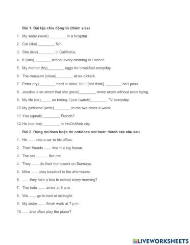 Bài tập thì hiện tại đơn