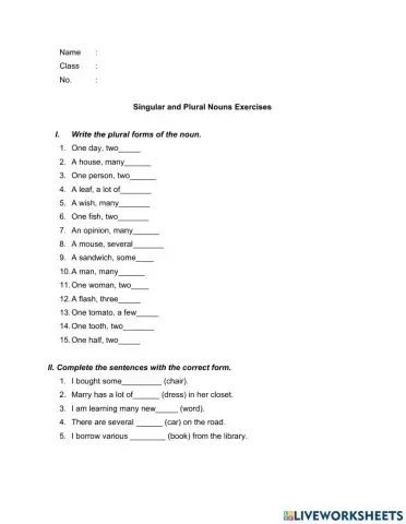 Singular Plural Nouns