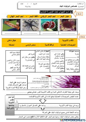 (1)خصائص شوكيات الجلد