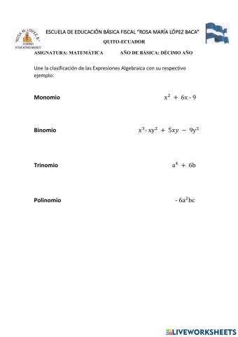 Clasificación de las expresiones algebraicas